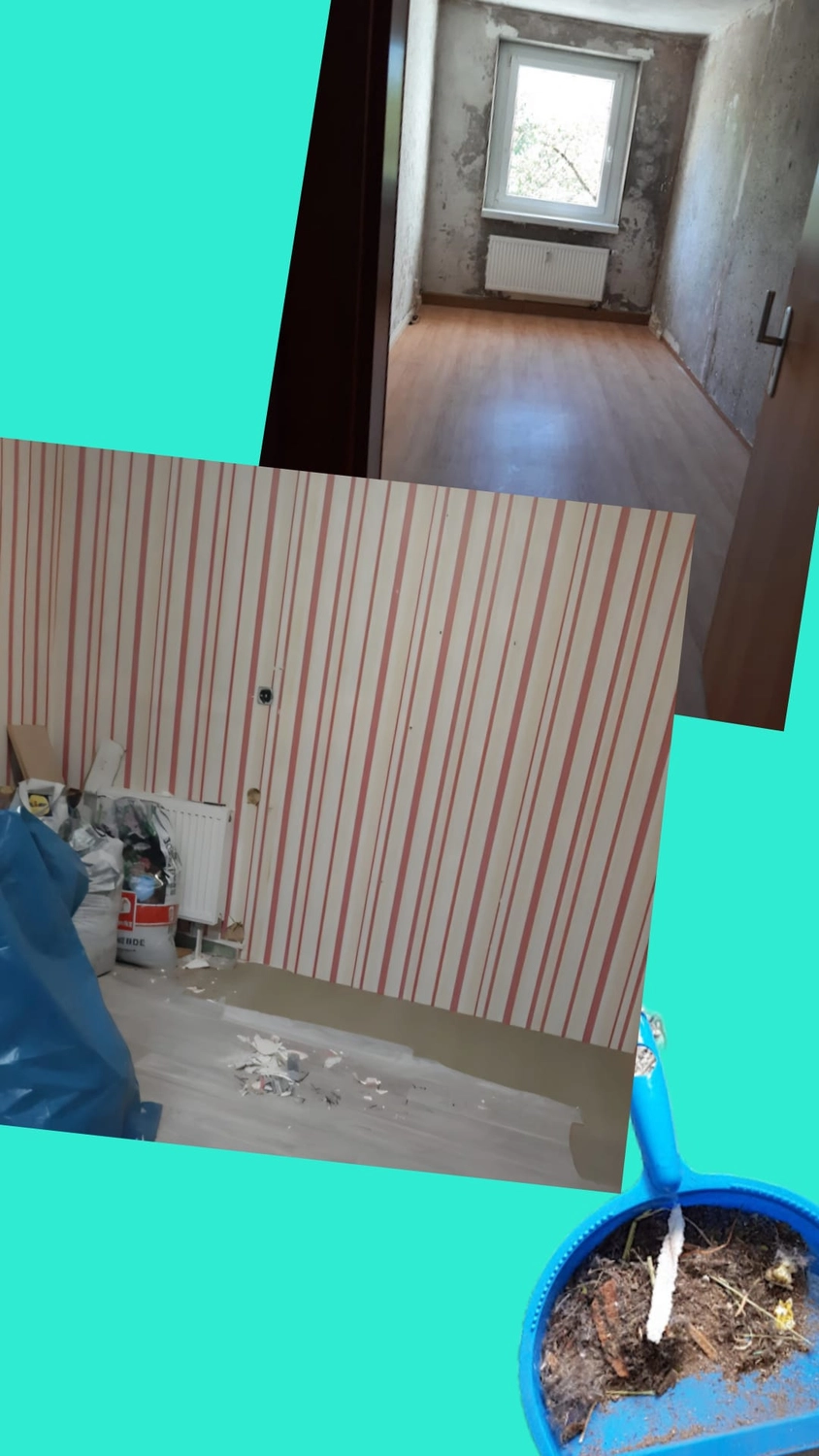 Haushaltsnahe Dienstleistungen - Versicherungsanbieter - Auszug- & Bauendreinigung