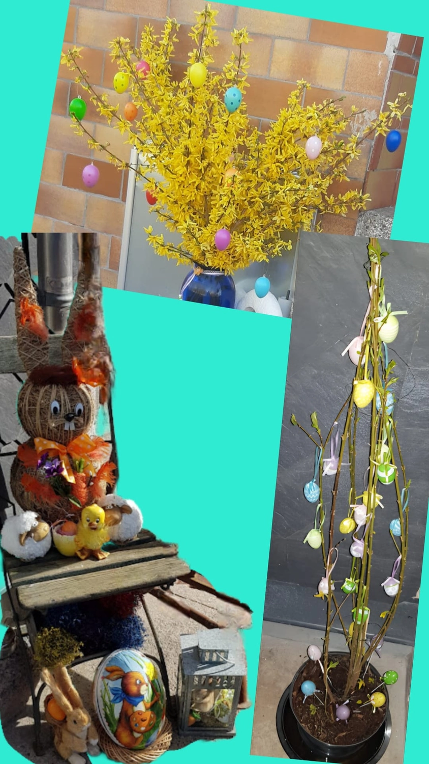 Haushaltsnahe Dienstleistungen - Versicherungsanbieter - Schenkung