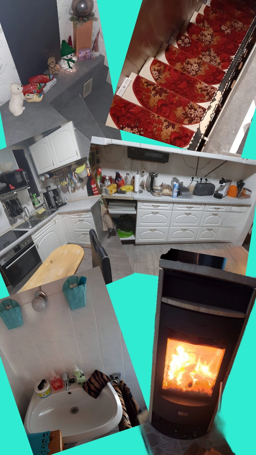 Haushaltsnahe Dienstleistungen - Versicherungsanbieter - Wohn- & Hausreinigung