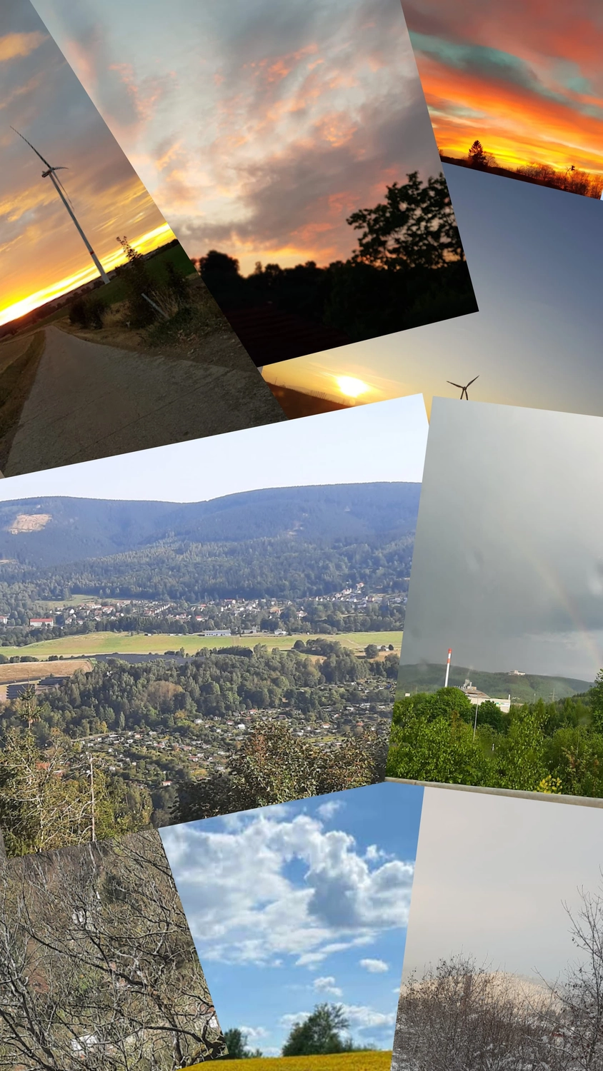 Haushaltsnahe Dienstleistungen - Versicherungsanbieter - Hausbetreuung bei Abwesenheit